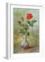 The Crimson Rose, a Messenger of Love-Albert Williams-Framed Giclee Print