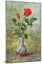 The Crimson Rose, a Messenger of Love-Albert Williams-Mounted Giclee Print