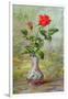 The Crimson Rose, a Messenger of Love-Albert Williams-Framed Giclee Print