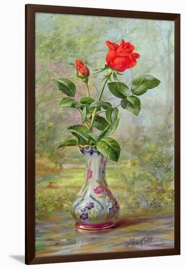 The Crimson Rose, a Messenger of Love-Albert Williams-Framed Giclee Print