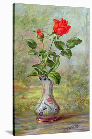 The Crimson Rose, a Messenger of Love-Albert Williams-Stretched Canvas
