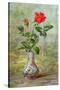 The Crimson Rose, a Messenger of Love-Albert Williams-Stretched Canvas