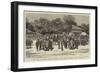 The Crisis in Burmah, Mounted Battery at the British Frontier Station, Tounghoo-null-Framed Giclee Print