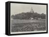 The Crisis in China, the Emperor's Garden and Lotus Lake, Peking-null-Framed Stretched Canvas