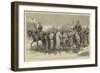 The Crisis in Egypt, a Detachment of Recruits-Godefroy Durand-Framed Giclee Print