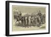 The Crisis in Egypt, a Detachment of Recruits-Godefroy Durand-Framed Giclee Print