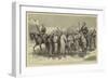 The Crisis in Egypt, a Detachment of Recruits-Godefroy Durand-Framed Giclee Print