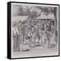 The Crisis in Samoa, a Foraging Party Returning to Apia from the Bush-Alexander Stuart Boyd-Framed Stretched Canvas