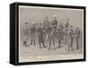 The Crisis in the Transvaal, Boer Military Types-null-Framed Stretched Canvas