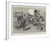 The Crisis in the Transvaal, Fighting their Battles over Again-Charles Edwin Fripp-Framed Giclee Print