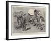 The Crisis in the Transvaal, Fighting their Battles over Again-Charles Edwin Fripp-Framed Giclee Print