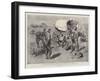 The Crisis in the Transvaal, Fighting their Battles over Again-Charles Edwin Fripp-Framed Giclee Print