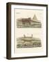 The Crocodile-null-Framed Giclee Print