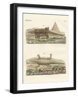 The Crocodile-null-Framed Giclee Print