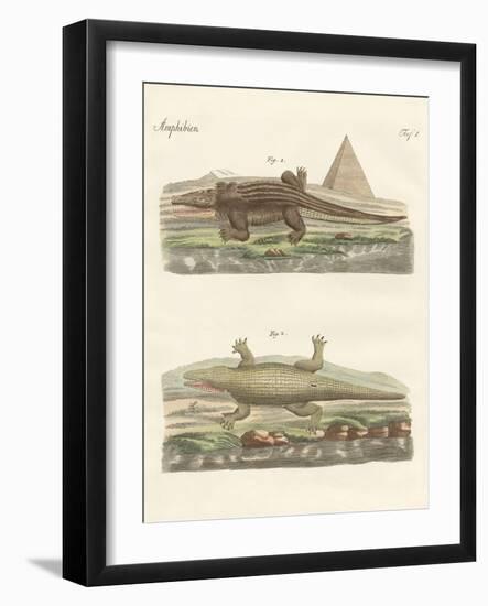 The Crocodile-null-Framed Giclee Print