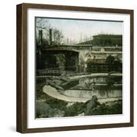 The Crocodiles of the Jardin D'Acclimatation, Paris (XVIth Arrondissement), Circa 1895-Leon, Levy et Fils-Framed Photographic Print