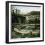 The Crocodiles of the Jardin D'Acclimatation, Paris (XVIth Arrondissement), Circa 1895-Leon, Levy et Fils-Framed Photographic Print