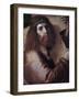 The Cross Bearing Christ-Bartolomeo Montagna-Framed Giclee Print