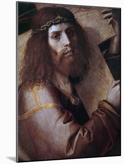 The Cross Bearing Christ-Bartolomeo Montagna-Mounted Giclee Print