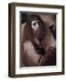 The Cross Bearing Christ-Bartolomeo Montagna-Framed Giclee Print