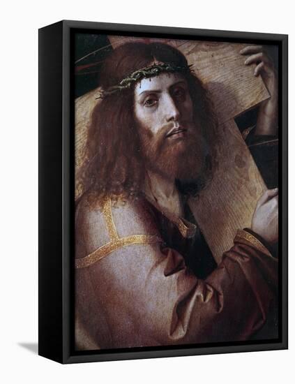 The Cross Bearing Christ-Bartolomeo Montagna-Framed Stretched Canvas