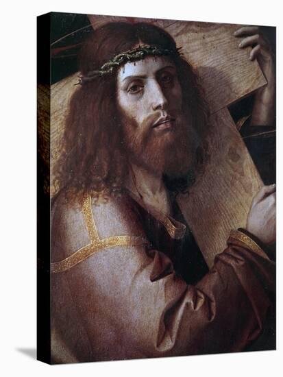 The Cross Bearing Christ-Bartolomeo Montagna-Stretched Canvas