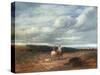 The Cross Roads-David Cox-Stretched Canvas