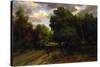 The Crossroads of the Eagle's Nest, Fontainebleau Forest, 1843-44-Charles Francois Daubigny-Stretched Canvas