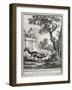 The Crow and the Fox, Illustration-Jean-Baptiste Oudry-Framed Giclee Print