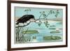 The Crow and the Frog-null-Framed Premium Giclee Print