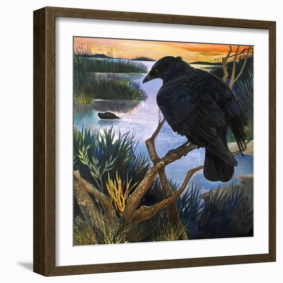 The Crow, Illustration from 'The Black Shadow', by F. St Mars, 1966-G. W Backhouse-Framed Giclee Print