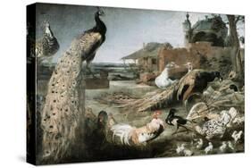 The Crow in Peacock Feathers-Frans Snyders-Stretched Canvas