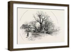 The Crow Trees, Barrow-On-Trent, UK-null-Framed Giclee Print