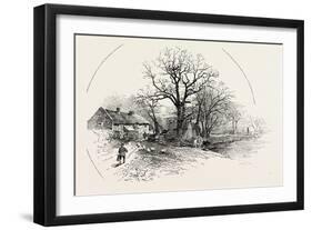 The Crow Trees, Barrow-On-Trent, UK-null-Framed Giclee Print
