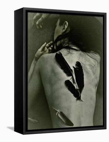 The Crow-Anita Libera Corsi-Framed Stretched Canvas