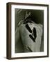 The Crow-Anita Libera Corsi-Framed Photographic Print