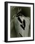 The Crow-Anita Libera Corsi-Framed Photographic Print