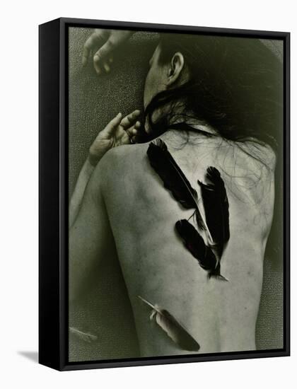 The Crow-Anita Libera Corsi-Framed Stretched Canvas