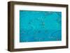 The Crowd in the Pool-oceanfishing-Framed Photographic Print