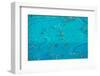 The Crowd in the Pool-oceanfishing-Framed Photographic Print