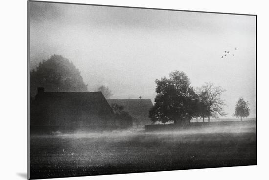 The Crowing of the Rooster-Piet Flour-Mounted Photographic Print