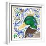 The Crowned Mallard-Isabelle Brent-Framed Photographic Print