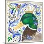 The Crowned Mallard-Isabelle Brent-Mounted Photographic Print