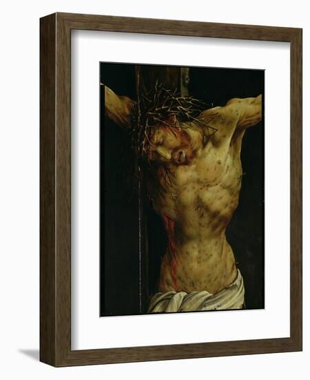 The Crucifixion from the Isenheim Altarpiece, Detail of Christ's Torso, circa 1512-16-Matthias Grünewald-Framed Giclee Print