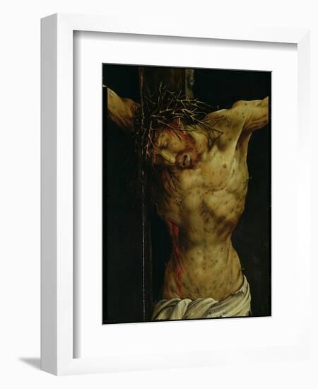 The Crucifixion from the Isenheim Altarpiece, Detail of Christ's Torso, circa 1512-16-Matthias Grünewald-Framed Giclee Print