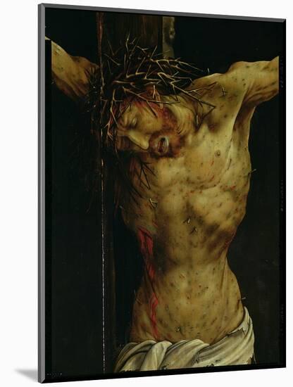 The Crucifixion from the Isenheim Altarpiece, Detail of Christ's Torso, circa 1512-16-Matthias Grünewald-Mounted Giclee Print