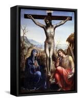 The Crucifixion with the Virgin and John the Baptist, C1540-Sodoma-Framed Stretched Canvas