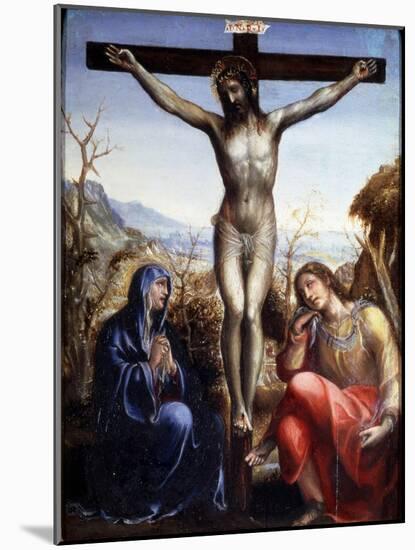 The Crucifixion with the Virgin and John the Baptist, C1540-Sodoma-Mounted Giclee Print