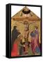The Crucifixion with the Virgin Mary, St. Mary Magdalene, St. John the Evangelist, and a Saint-Jacopo di Paolo-Framed Stretched Canvas