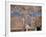 The Crucifixion-Cimabue-Framed Photographic Print